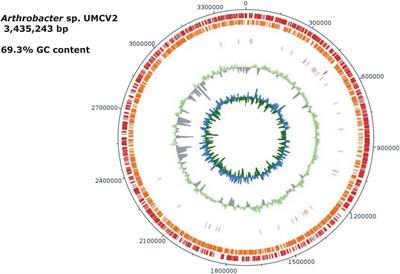 Comparative genomic and functional analysis of Arthrobacter sp. UMCV2 reveals the presence of luxR-related genes inducible by the biocompound N, N-dimethylhexadecilamine